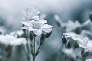 デリケートゾーンのソープを使った匂い対策はどうすればいい？