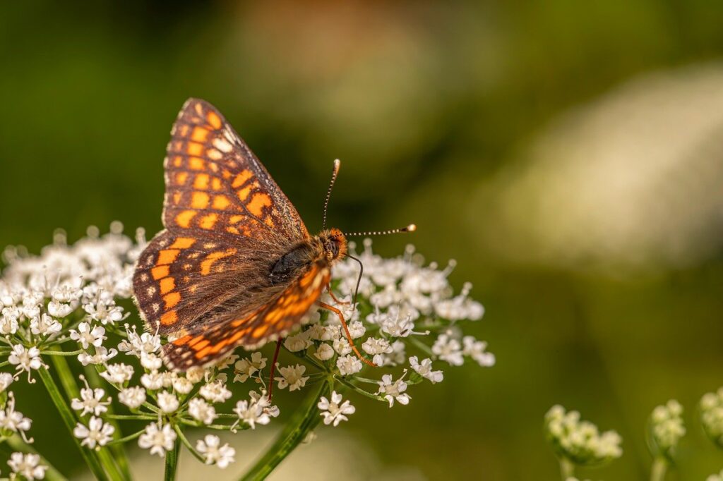 デリケートゾーンの匂い対策に最適なソープは？