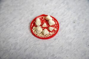 尿漏れにおいを解消するための効果的な対策は？