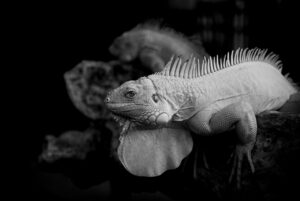 40代のためのデリケートゾーンケアのポイントは？