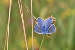 デリケートソープのおすすめ商品を徹底比較してみました？