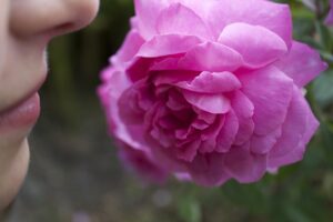 体臭が甘いにおいになる原因は何ですか？