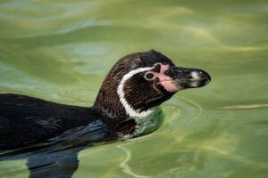 頭皮ケアに最適なシャンプーは女性にどれが人気？