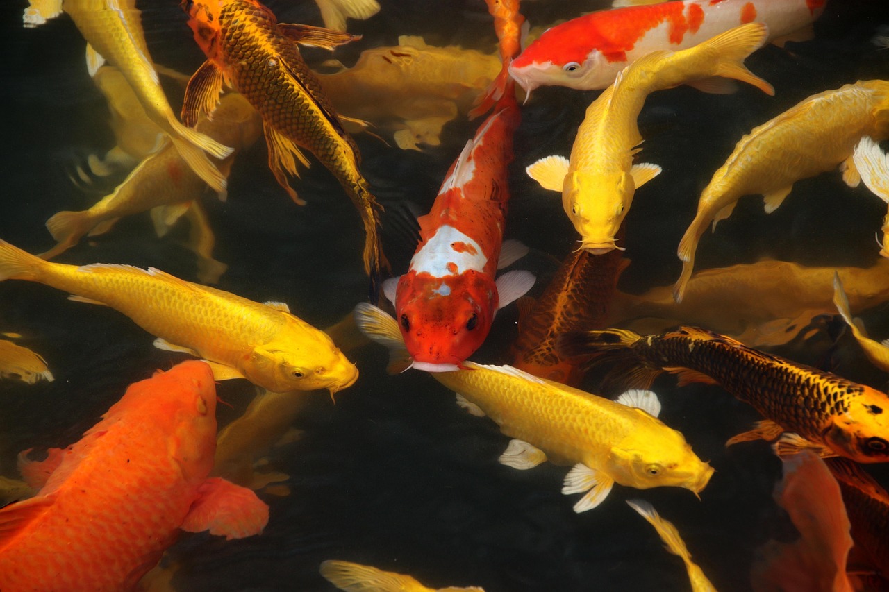膣が魚臭いと感じる病気にはどんなものがあるの？