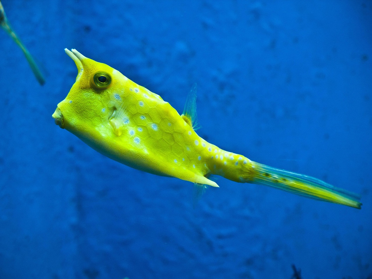 膣が魚臭い原因と考えられる病気とは？