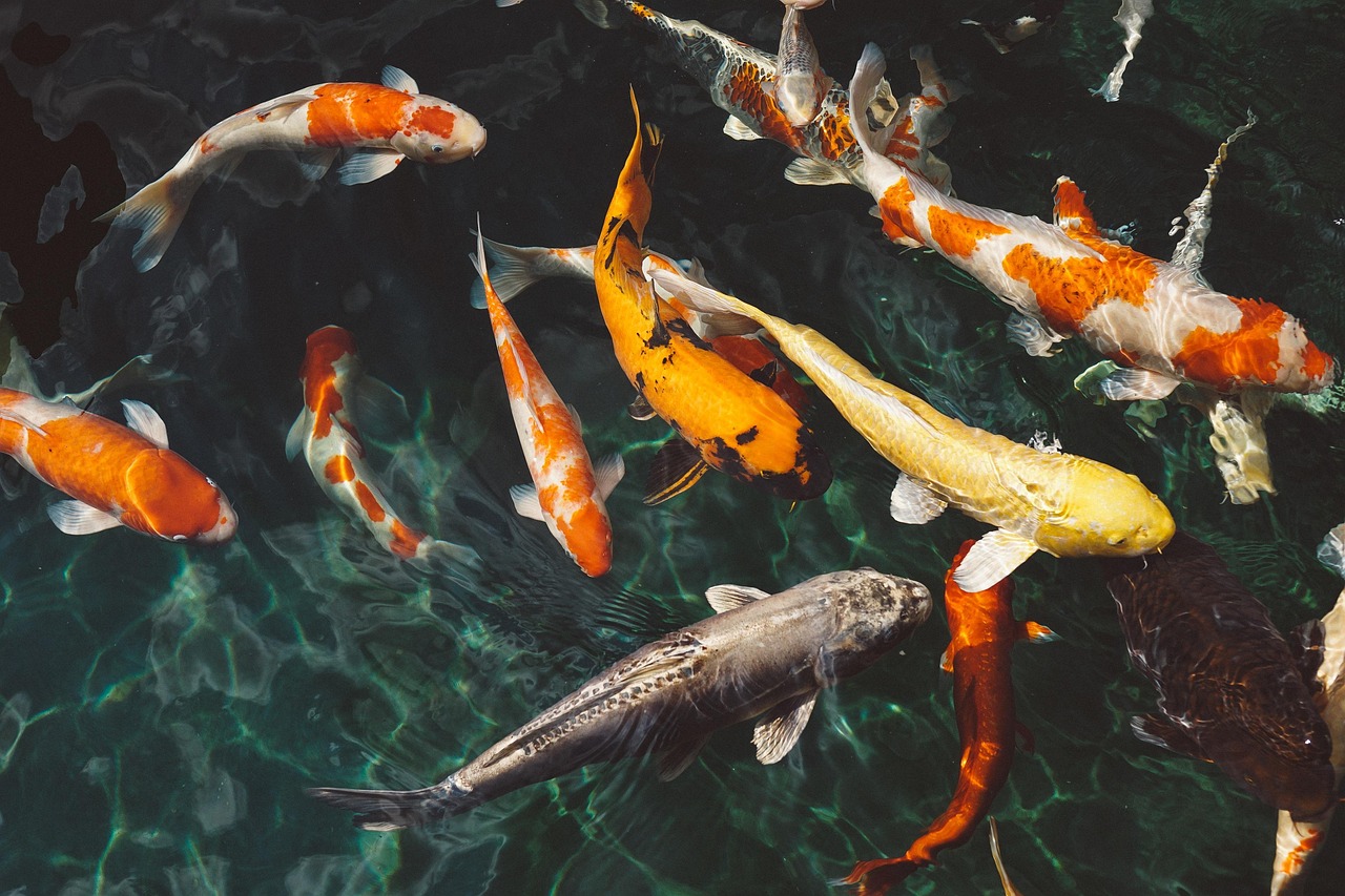 膣が魚臭い場合、考えられる病気とは？