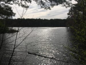 ミドル脂臭を予防するための効果的な方法は？