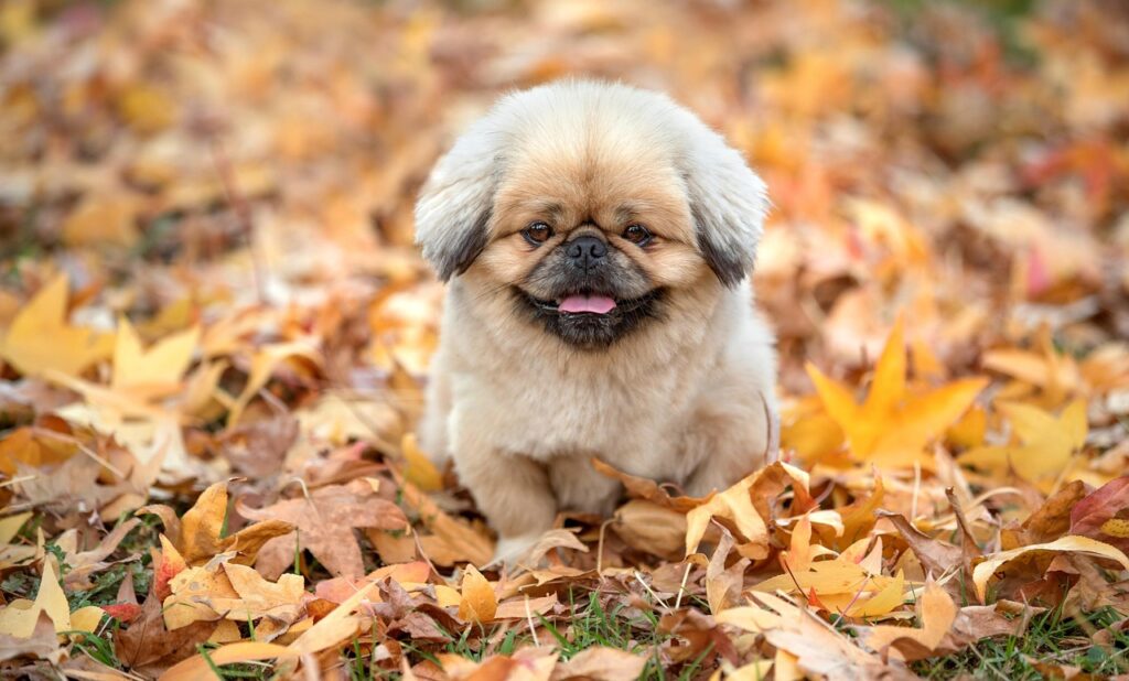 ワキガの原因となる食べ物にはどんなものがあるの？