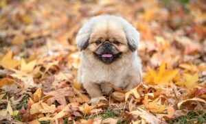 更年期の体臭に悩むあなたにおすすめの対策は？