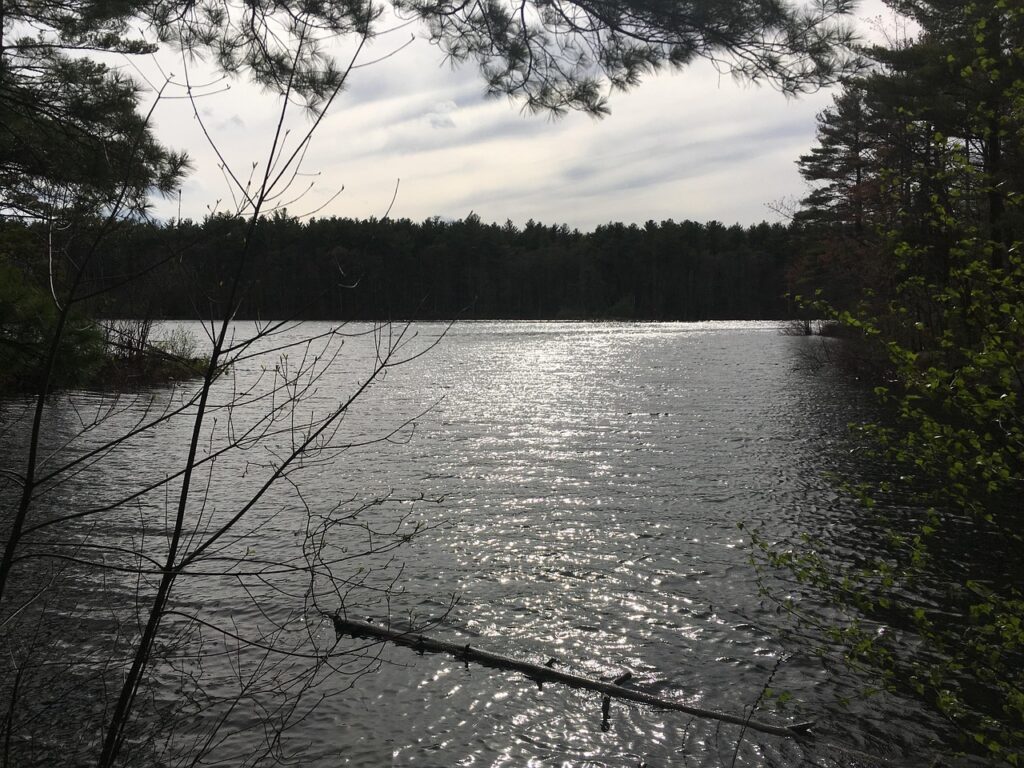 ミドル脂臭を抑えるスプレーの効果とおすすめ商品は？