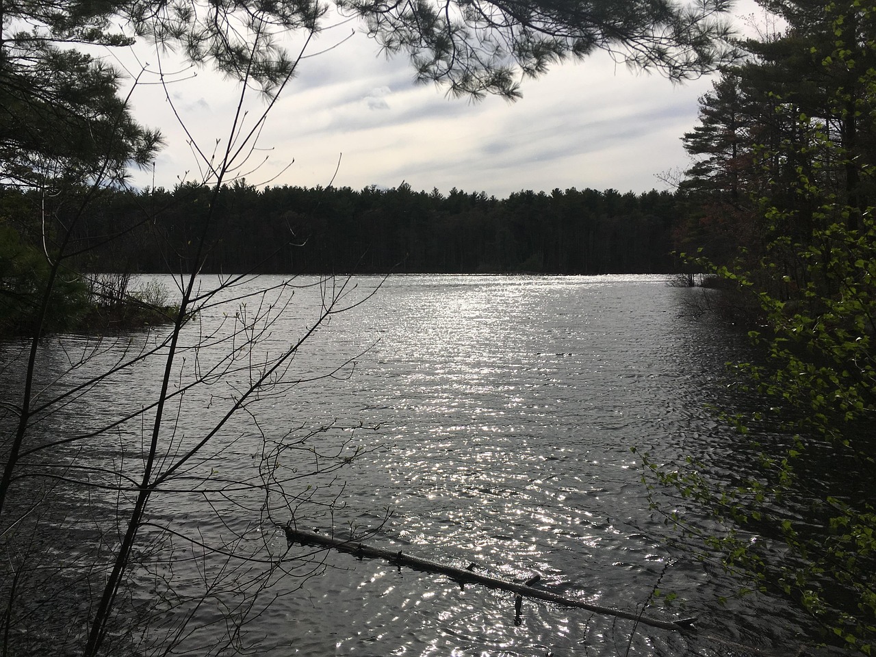 ミドル脂臭を抑えるスプレーの効果とおすすめ商品は？