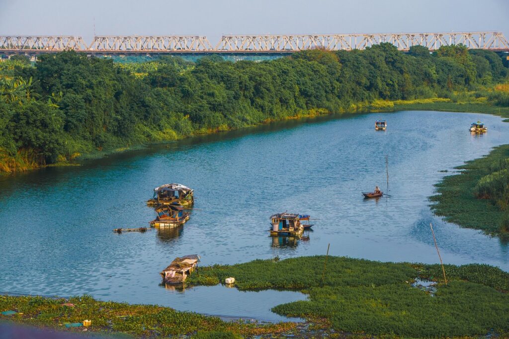 ミドル脂臭を改善するためにビタミンはどのように役立つのか？