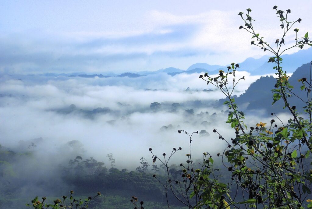 汗の臭いは体質や遺伝が影響するのか？