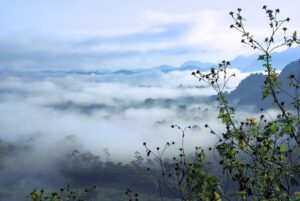 汗の臭いは体質や遺伝が影響するのか？