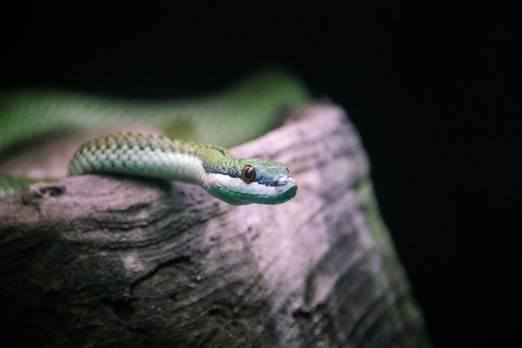 40代女性におすすめの加齢臭対策ランキングは？