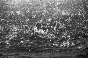 湿気の臭いを消す方法は？