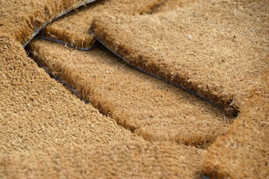 玄関マットの臭いを消す方法は？