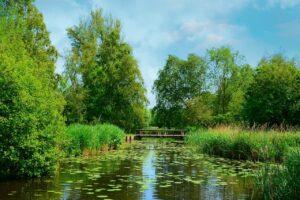 除湿機で臭いを取る方法は？