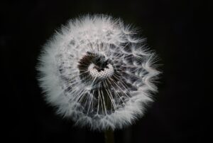 体臭の悩み、どこに相談すればいい？口コミから選ぶ信頼できる相談先は？